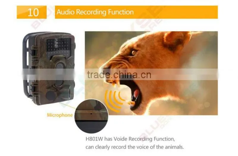 hunting camera for wholesales hunting camera gprs H801W 2016