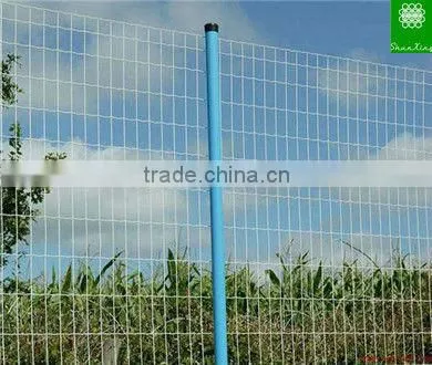 PVC coated holland welded fence (Anping supplier)