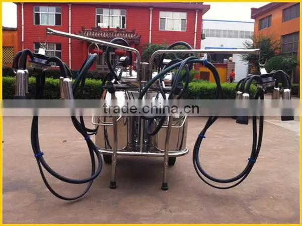 KLN milking machine for two cows in dairy farm