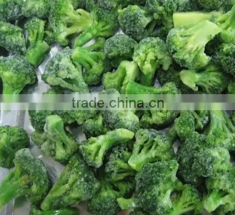 10kgs fresh frozen broccoli with favorable price