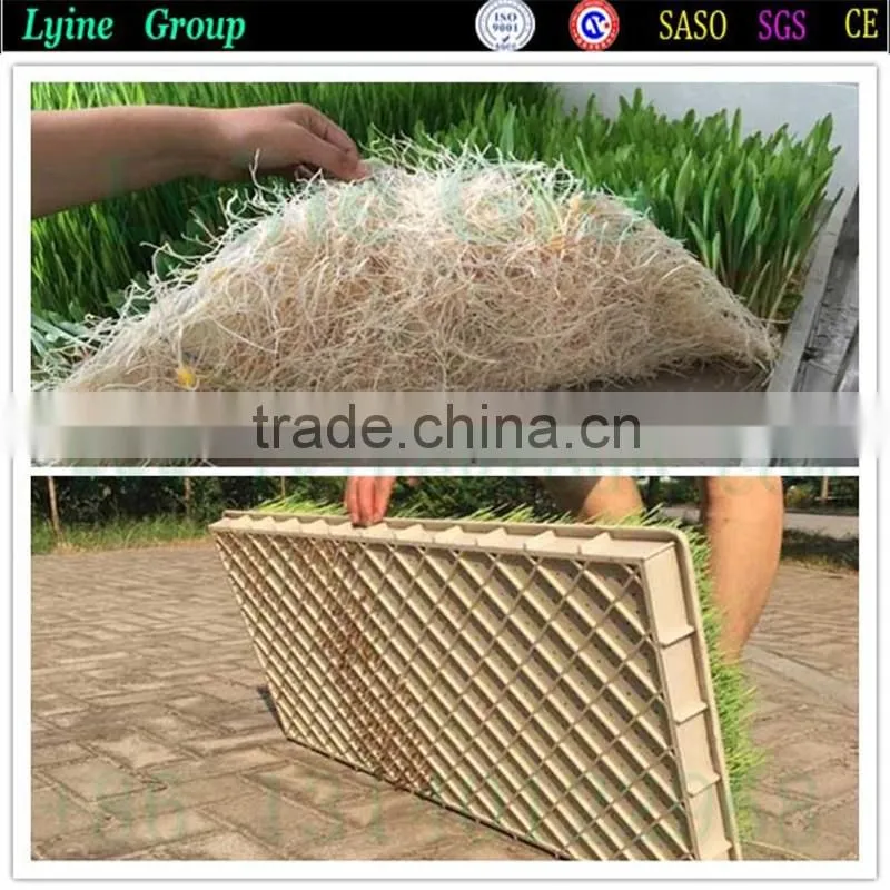 2016 Hot Selling large plastic trays