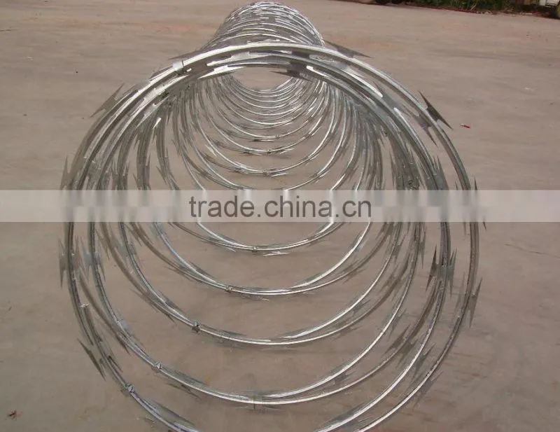 wholesale CBT-65 hot-dipped galvanized razor barbed wire