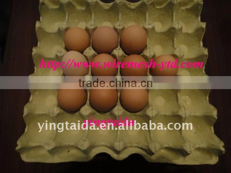 delicated popular egg tray