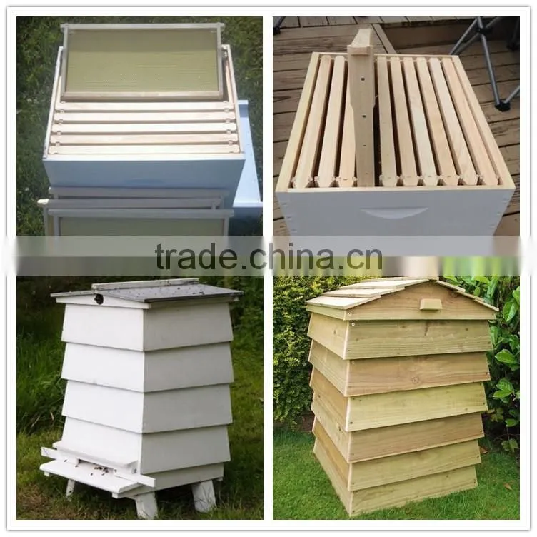 Dadant beehive/ Langstroth beehive / British beehive