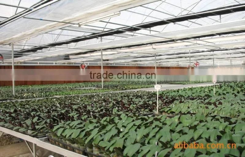 Poultry cooling cell pad 220V for greenhouse industry Indonesdia