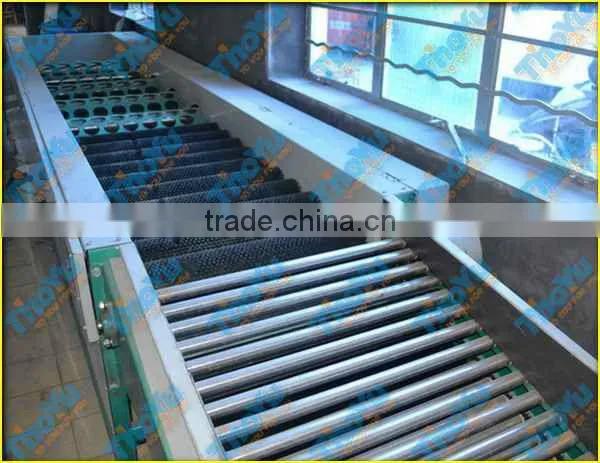 Thoyu Brand Salable Automatic Fruit Grading Machine by Size(SMS: 0086-15903675071)