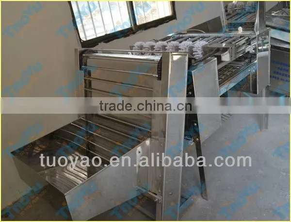 Thoyu Brand automatic eggs sheller/ shelling machine price SMS: 0086-15937167907