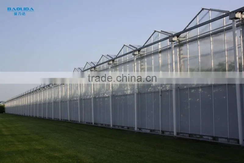 BaoLiDa Agriculture used Greenhouse