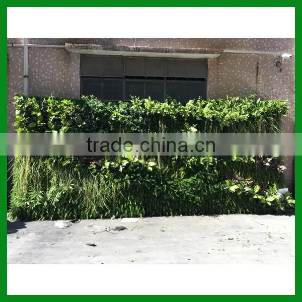 Artificial Green Wall Decoration