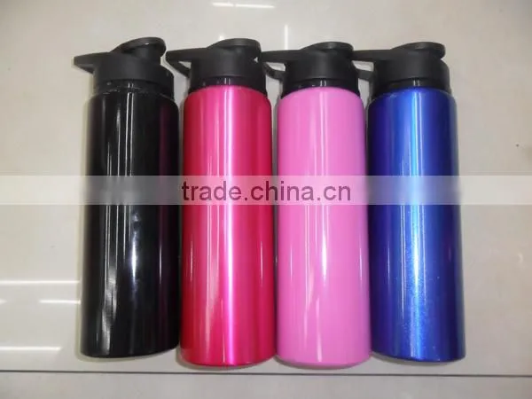 Custom Stainless Steel Bottle/Travel Sports Bottle