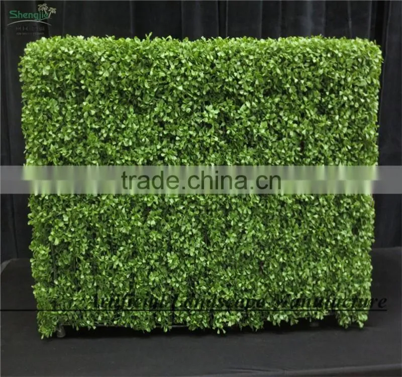 SAS016014 Artificial Hedge Panel UV Protect PE Boxwood Mat