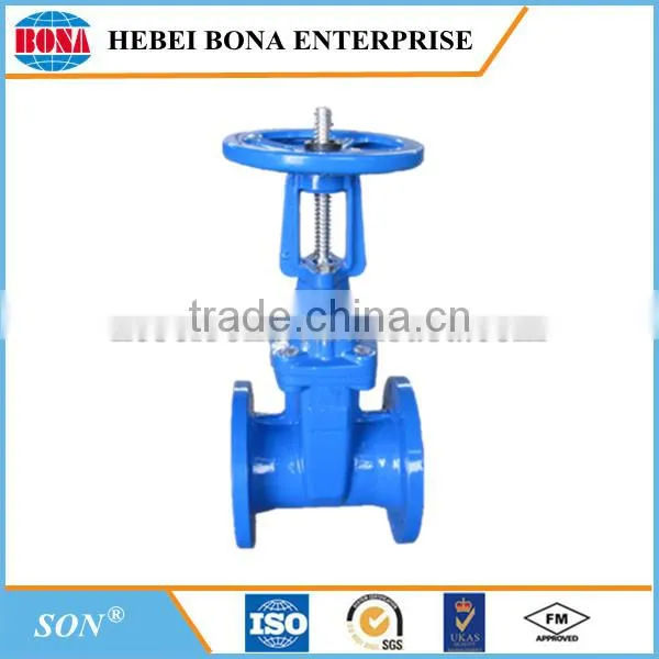 Ductile iron valve