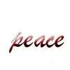 Zhejiang Peace Co.,Ltd company overview - view 1