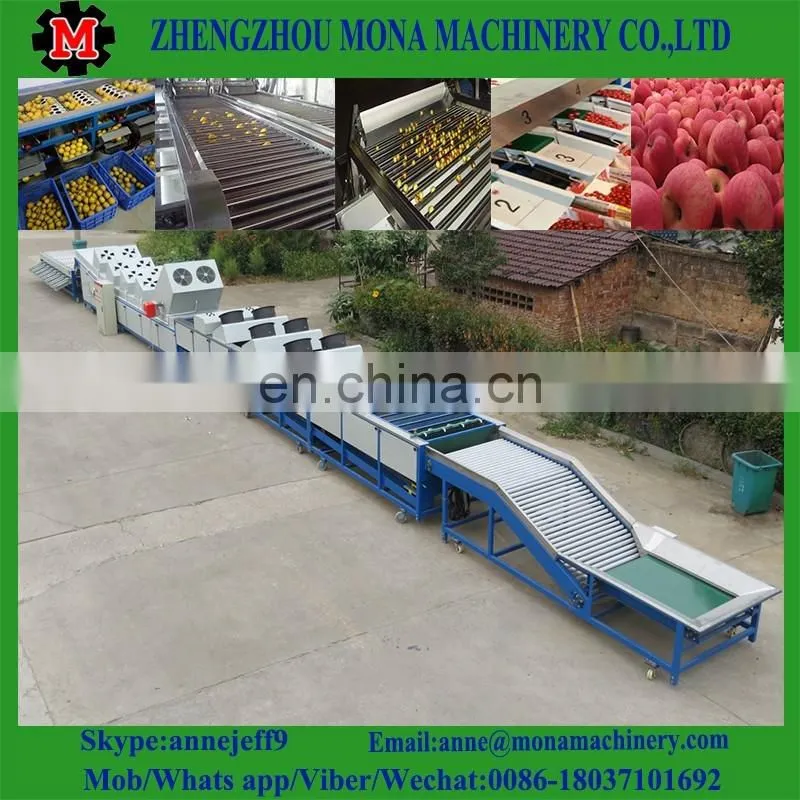 3ton/h food grade industrial fruit fish cassava fruit washing grading waxing machine