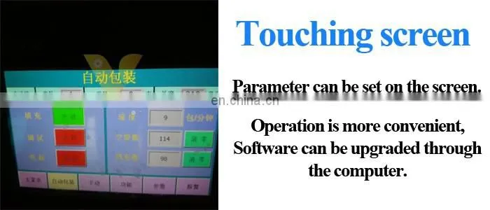 Automatic Bag Making Ice Cubes Packing Machine