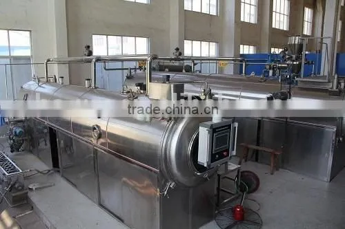 Belt Vacuum dryer for fruit powder