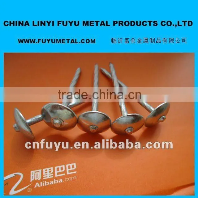 Roofing Nails for wood