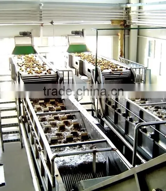Auto-floating washing machine for fruit and vegetable