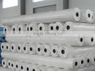hot sale 30g cheap pp fabric for agriculture with ISO9001