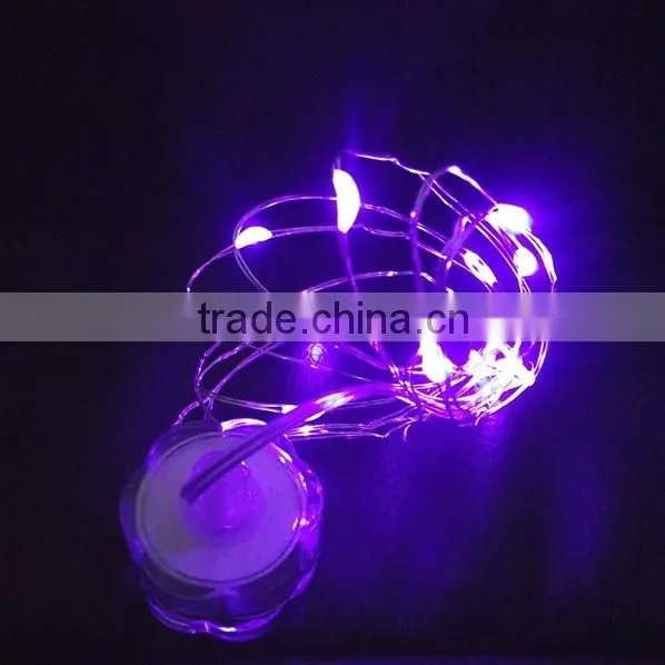 Blue color LED Submersible copper wire Micro Vine light / Battery Operated LED String Light