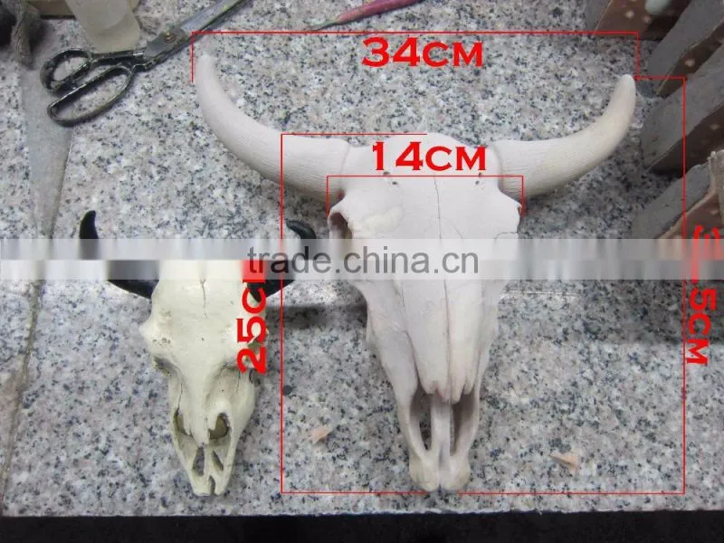 Human and Animal Resin Skull,Customized Skull