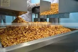 Vietnam cashew kernels grade WW320, WW450, WS for Asia market