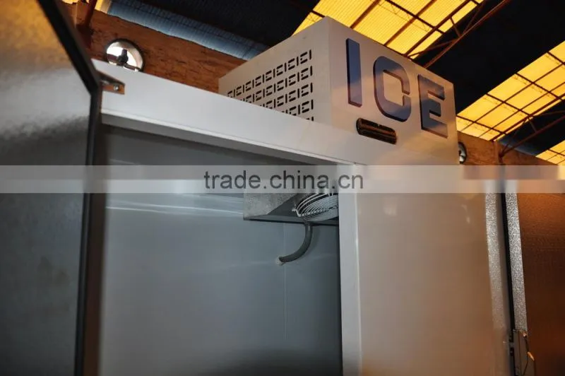 large size ice storage bin