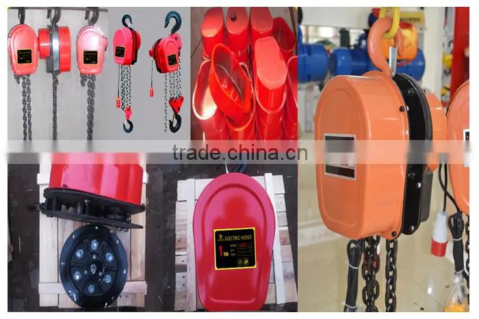 Hot Selling Excellent Service High Quality Dhs Series 10t Electric Chain Block
