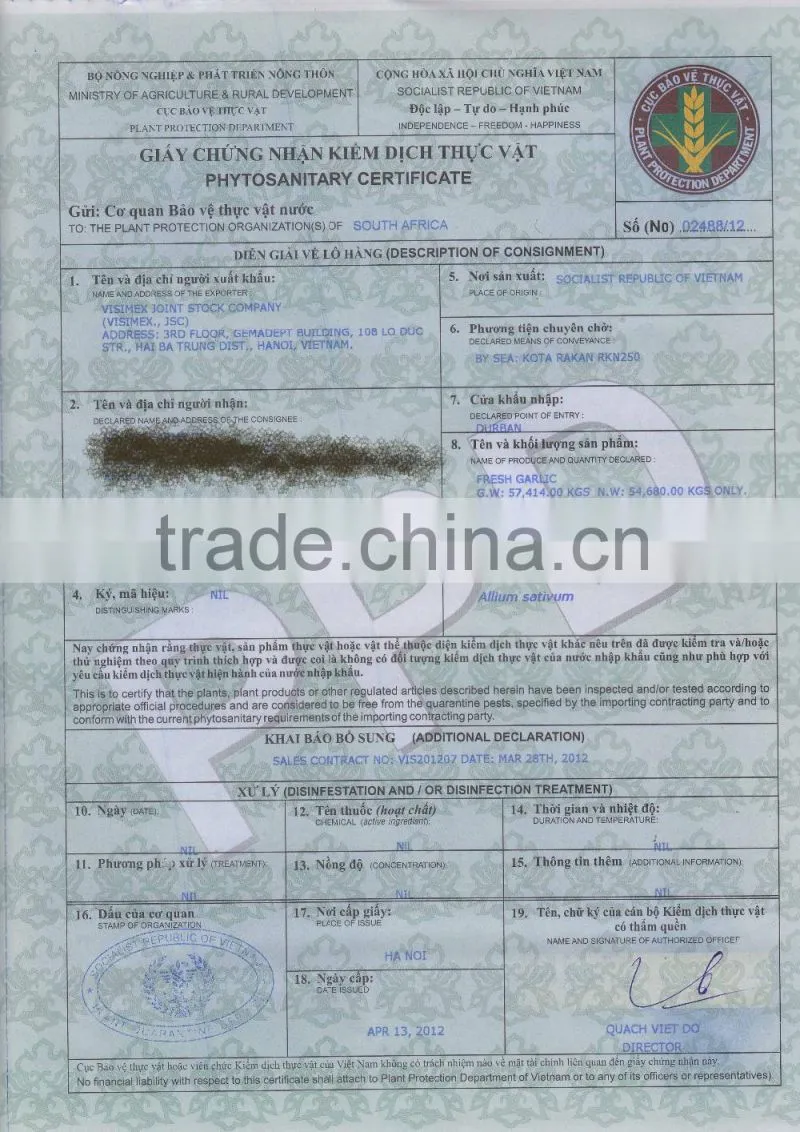 WHITE GARLIC (SKYPE: VISIMEX10)