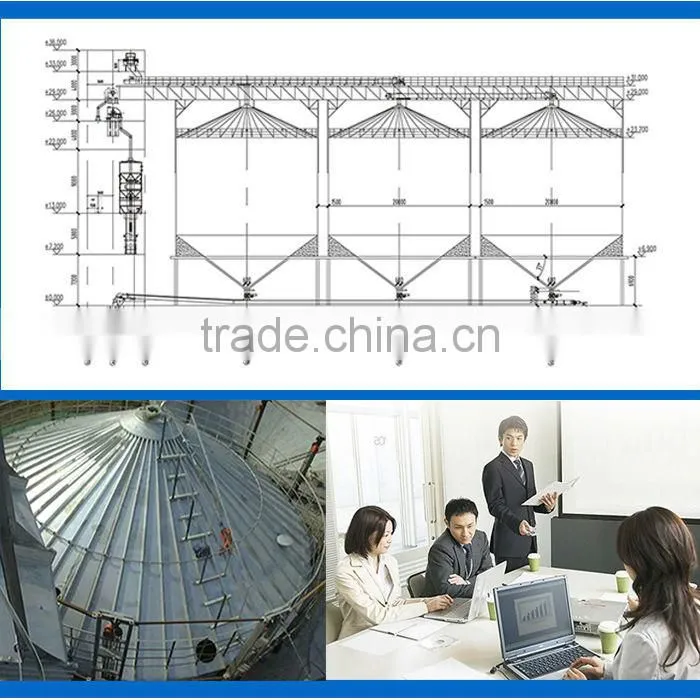 Super quality Popular new condition galvanized steel silo for grain and feed storage