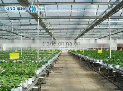 Steel Pipe Greenhouse