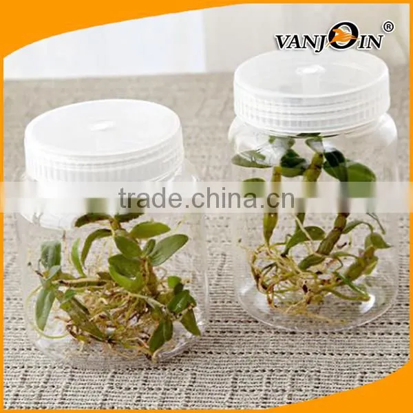 Empty Pet Plastic Plant Culture Bottle with Hole Caps