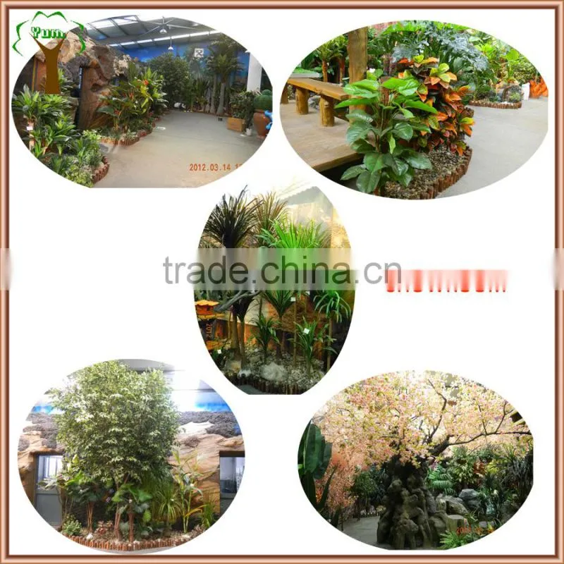 Commercial decorative preserved spiral boxwood topiary