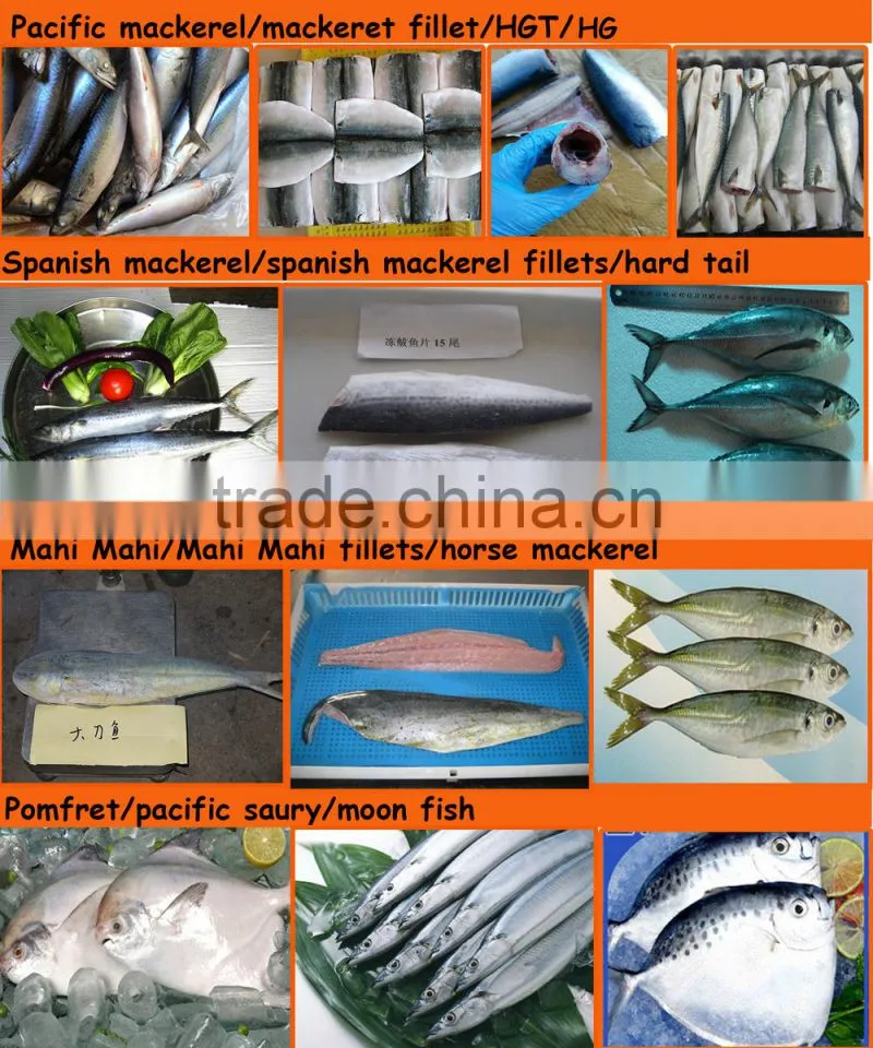 frozen moonfish 200-300g/pc BQF 7.5kgs/ctn