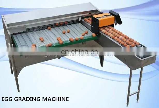 Commercial egg cleaning and sorting machine