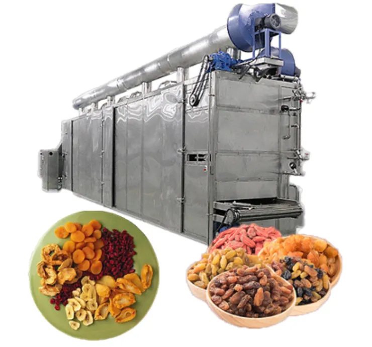 Candied Fruit Vegetable Processing Line Candied Prune Apricot Peach Kumquat Making Machine