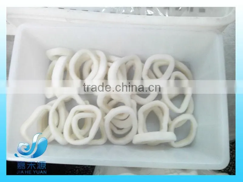 Frozen whole Squid