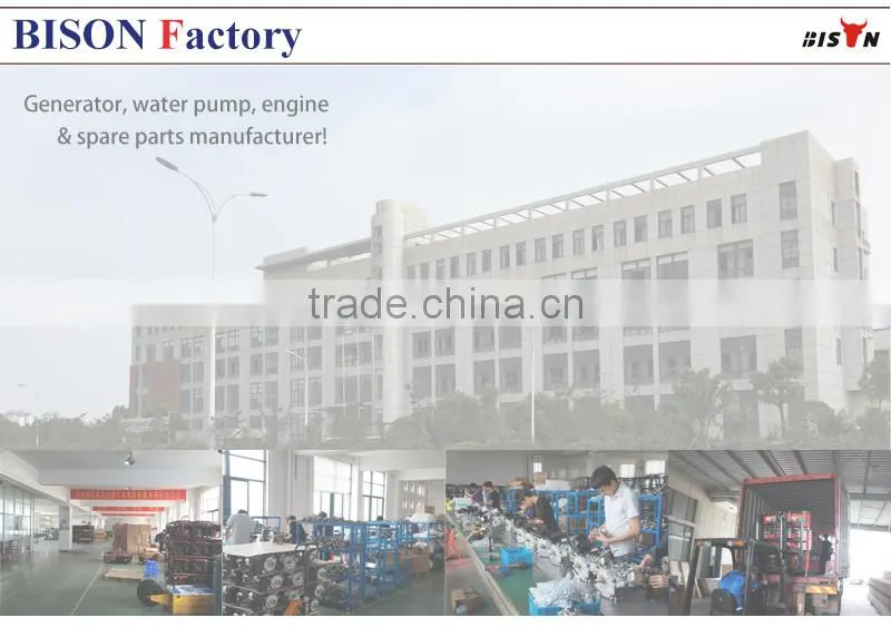 BISON(CHINA) Gasoline Engine 170F 7hp