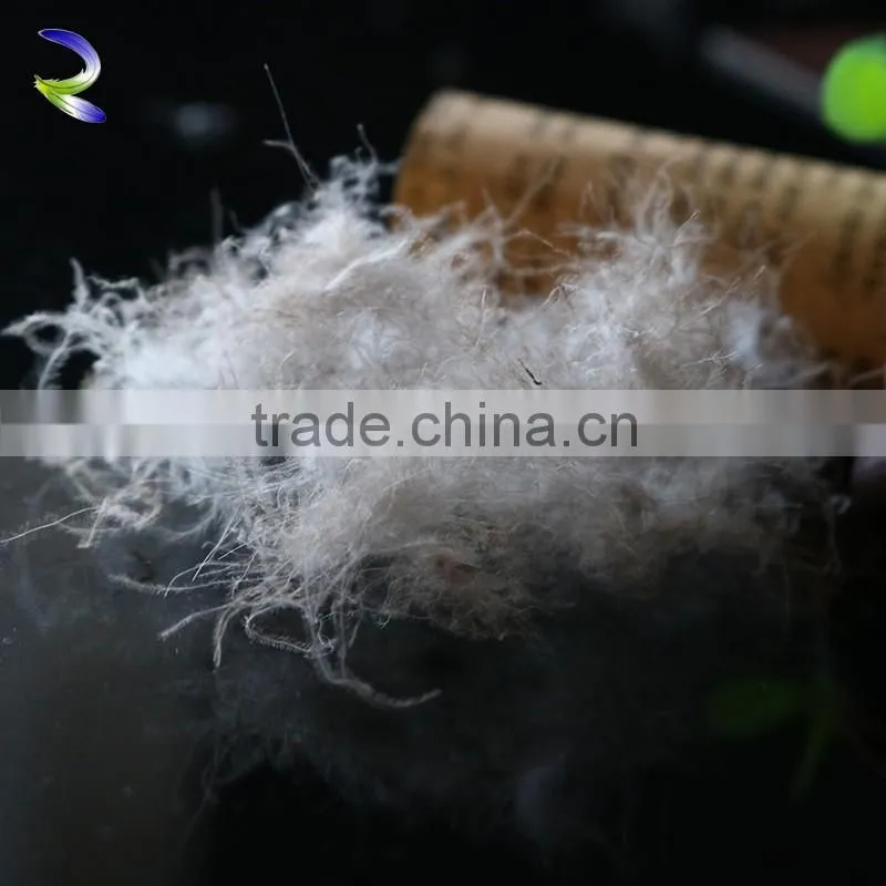Fashion design high quality cheap price fill duck down
