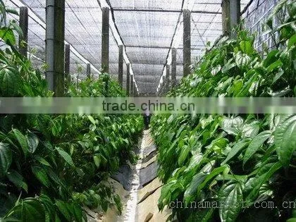 round thread shade net