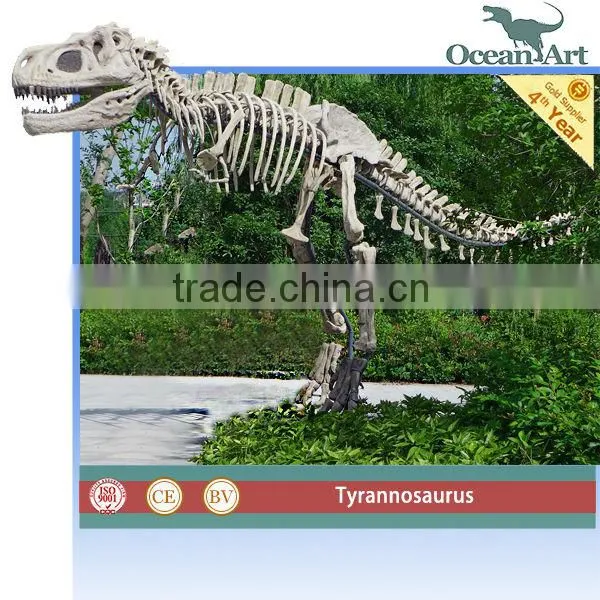 lifesize t-rex dinosaur skeleton model