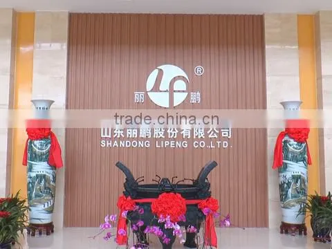Shandong Lipeng Co., Ltd. company overview - view 1