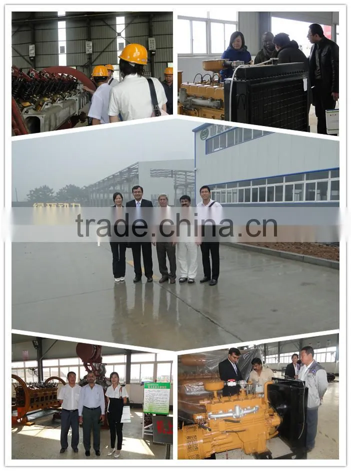 High efficient global warranty ac 3ph natural gas generator