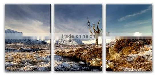 widen group canvas art