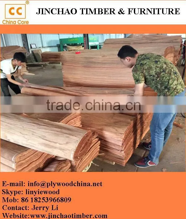 wood veneer used for plywood/engineered wood veneer/PLB veneer