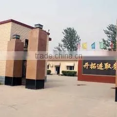 Shijiazhuang Yaqi Brush Product Co., Ltd. company overview - view 1