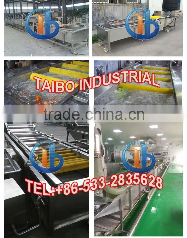 Industrial Fruit Vegetable Washer (with hair roller for purification)
