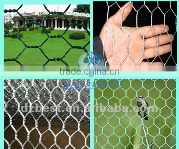 chicken hexagonal wire mesh