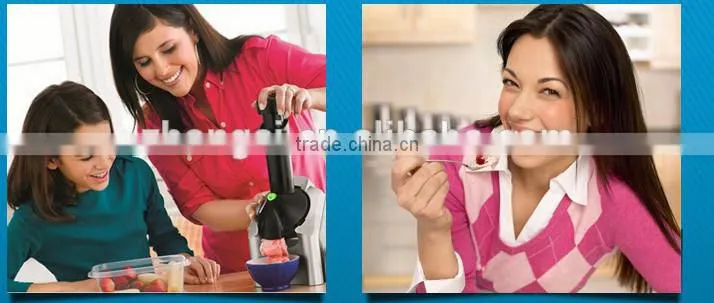 mini ice cream maker for home use