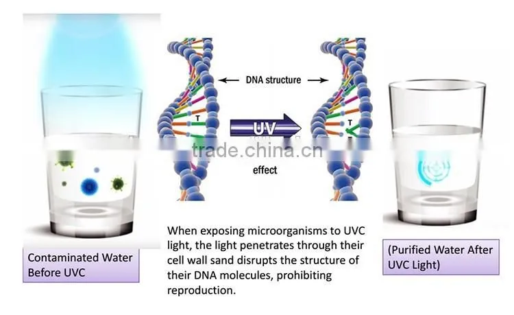 UV C LED Fruit and Vegetable UV light Sterilizer